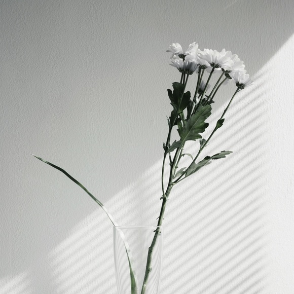 Meet your Posher, Nikki - Picture 1 of 1